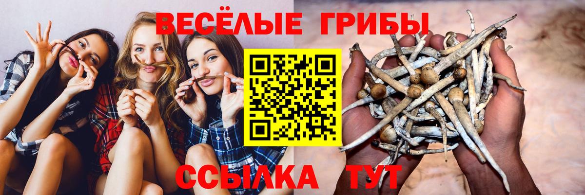 Псилоцибиновые грибы ЛСД Выкса